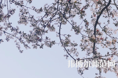 湖南第一師范學(xué)院城南書院校區(qū)2023年學(xué)費(fèi)、收費(fèi)多少