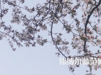 湖南第一師范學(xué)院城南書院校區(qū)2023年學(xué)費(fèi)、收費(fèi)多少