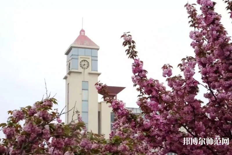 青島師范大學(xué)金家?guī)X校區(qū)2023年報名條件、招生要求、招生對象 