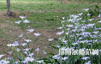 湖南第一師范學院城南書院校區(qū)2023年怎么樣、好不好