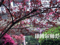 湖南第一師范學(xué)院城南書院校區(qū)2023年怎么樣、好不好