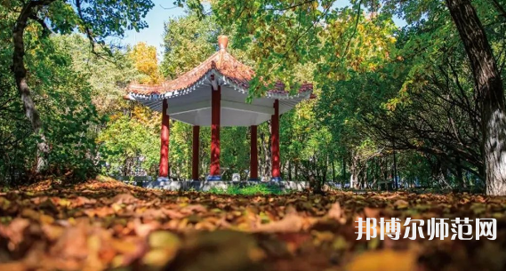 黑龍江師范大學(xué)2023年報名條件、招生要求、招生對象 