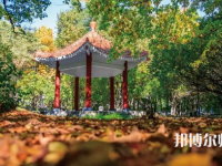 黑龍江師范大學(xué)2023年報(bào)名條件、招生要求、招生對(duì)象