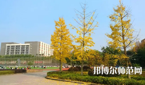 重慶幼兒師范高等?？茖W(xué)校梨園校區(qū)2023年是幾本