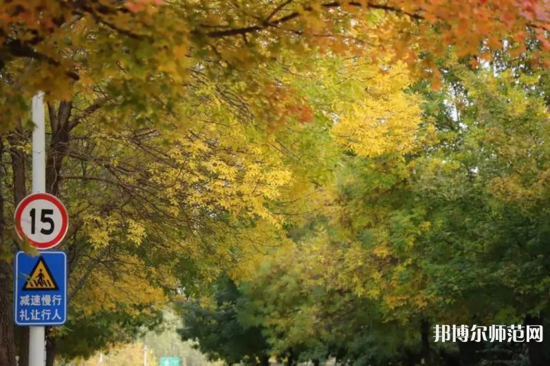濟(jì)南幼兒師范高等?？茖W(xué)校2023年有哪些專業(yè)