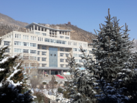 定西師范高等?？茖W(xué)校2023年有哪些專業(yè)