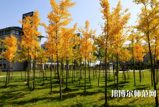 寧夏民族職業(yè)技術(shù)師范學(xué)院2023年怎么樣、好不好 
