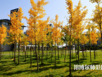 瀘州幼師職業(yè)技術(shù)學(xué)校2023年學(xué)費(fèi)、收費(fèi)多少