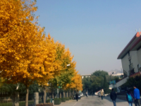 西北師范大學(xué)2023年怎么樣、好不好