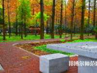 長江大學(xué)文理學(xué)院2023年怎么樣、好不好