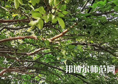湖南師范大學(xué)2023年報名條件、招生要求、招生對象