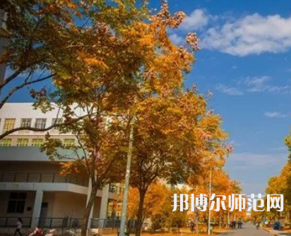 南京師范大學(xué)泰州學(xué)院2023年報(bào)名條件、招生要求、招生對象