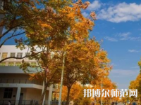 南京師范大學(xué)泰州學(xué)院2023年報(bào)名條件、招生要求、招生對(duì)象