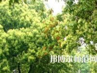 衡陽師范學(xué)院南岳學(xué)院2023年怎么樣、好不好