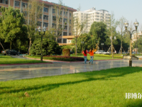 西南民族師范大學武侯校區(qū)2023年有哪些專業(yè)
