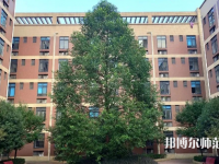 四川師范大學(xué)成都學(xué)院眉山校區(qū)2023年怎么樣、好不好
