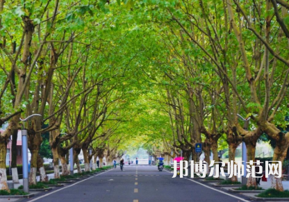四川農(nóng)業(yè)師范大學(xué)雅安校區(qū)2023年怎么樣、好不好
